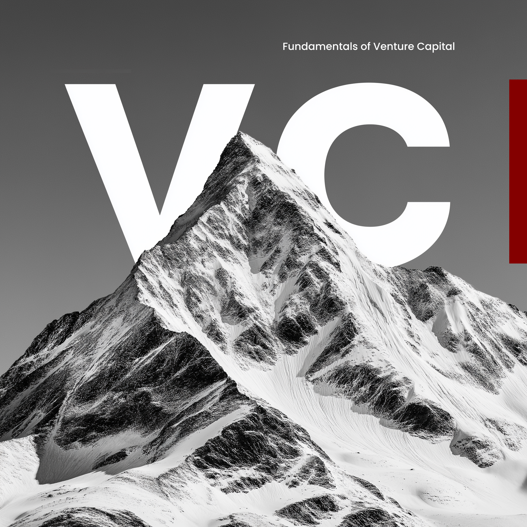 VC101 — cover image for the case study